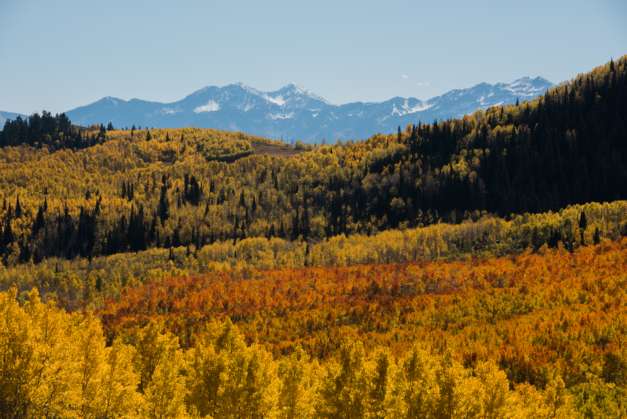 Planning a Fall Elopement in Park City, UT